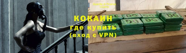 кокс Алексин