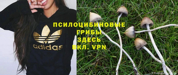 2c-b Алексеевка