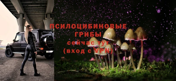 2c-b Алексеевка