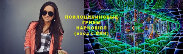 кокс Алексин