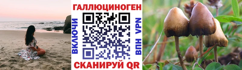 Псилоцибиновые грибы мицелий Орлов