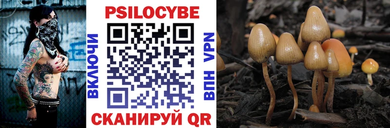 купить наркотики сайты  Орлов  Псилоцибиновые грибы Magic Shrooms 