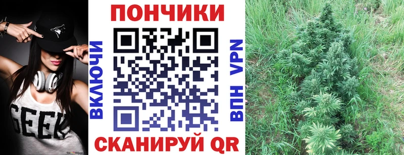 Бошки марихуана ГИДРОПОН  Орлов 